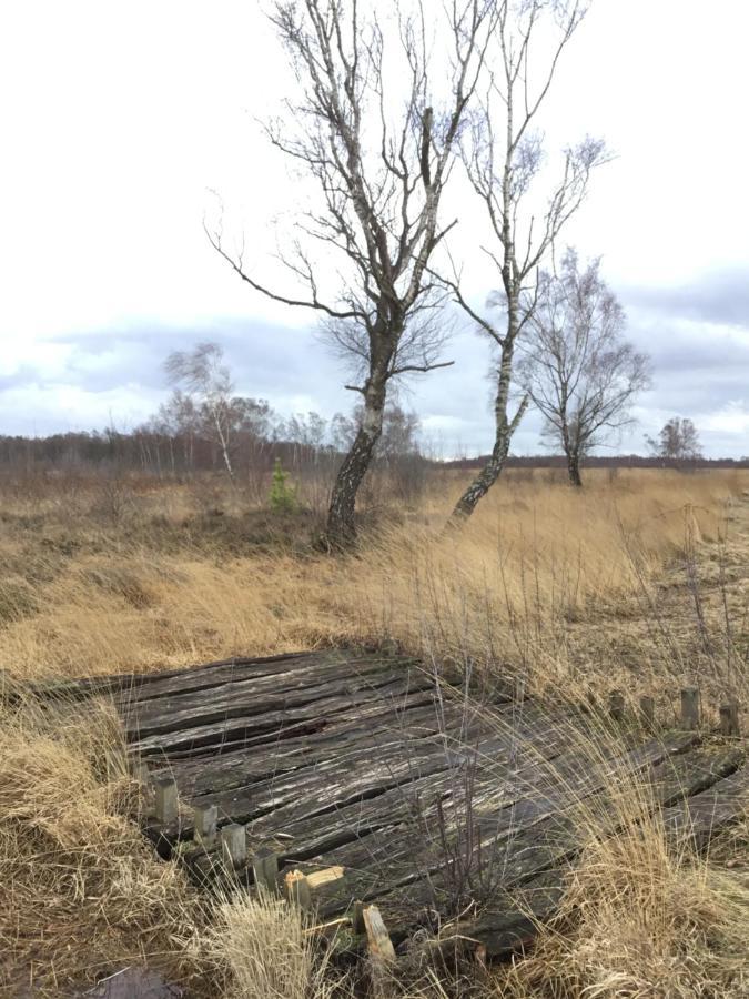 Kranich-Holzferienhaus 'Kleine Auszeit' Rehden Экстерьер фото