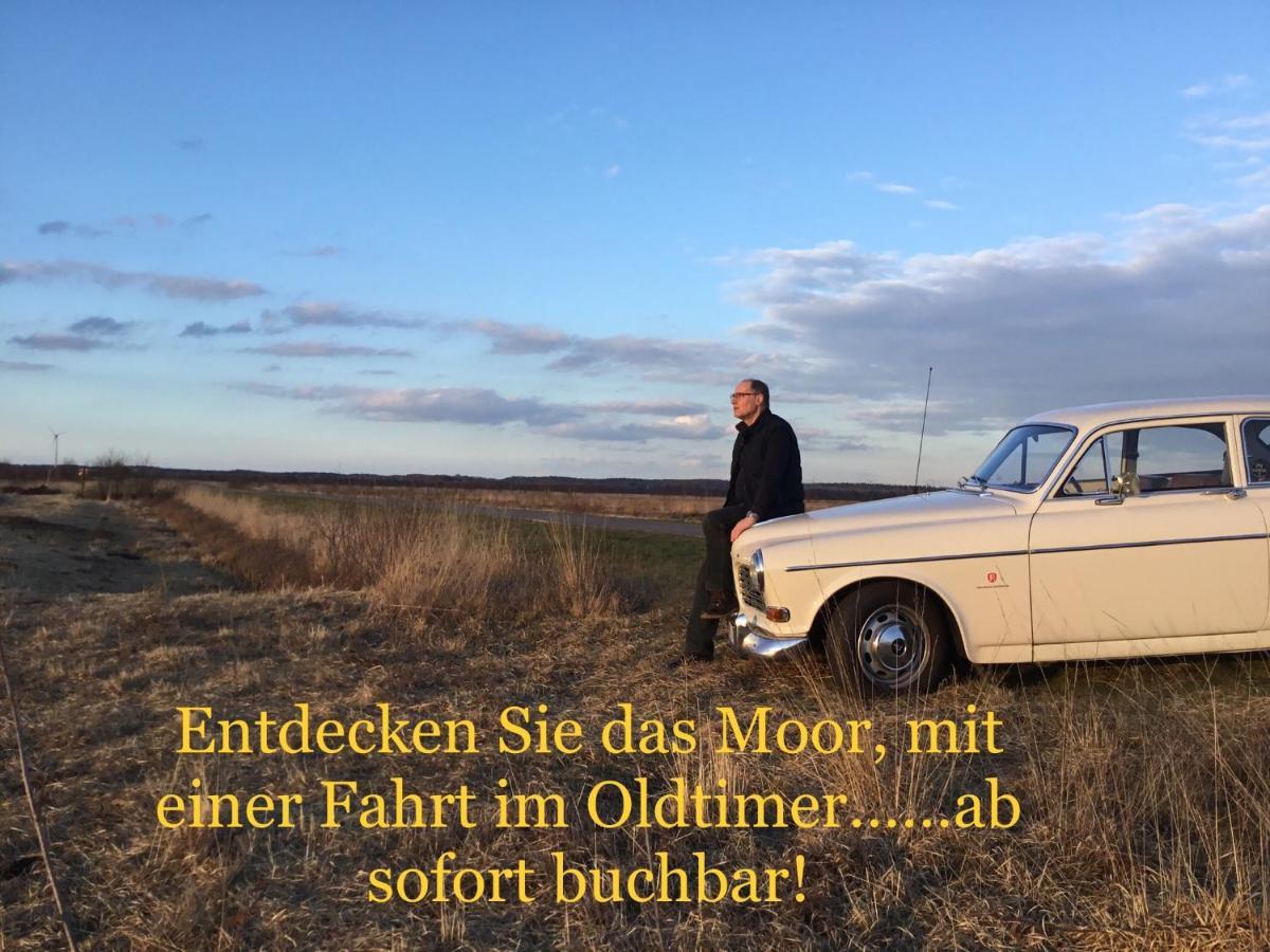 Kranich-Holzferienhaus 'Kleine Auszeit' Rehden Экстерьер фото