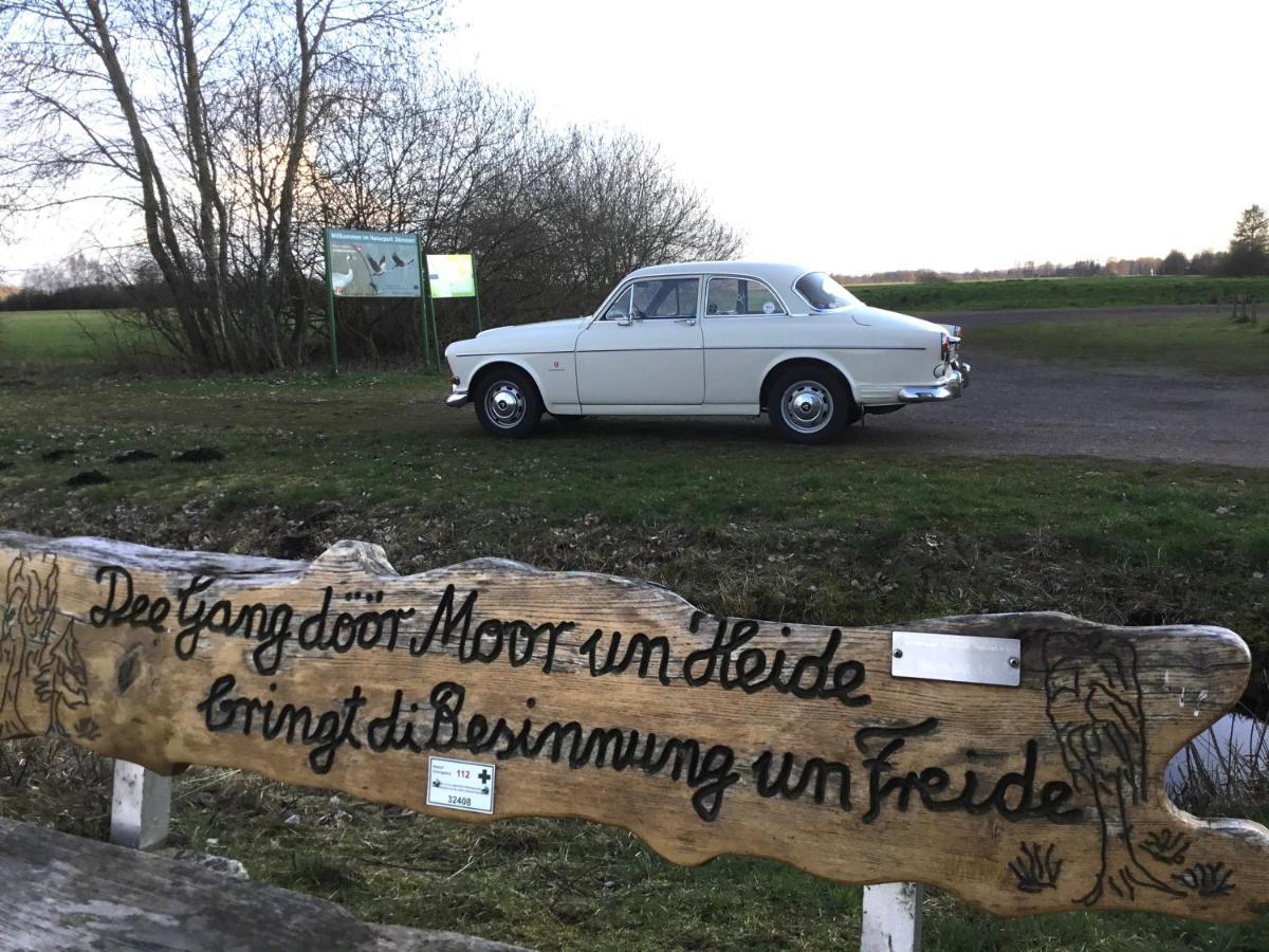 Kranich-Holzferienhaus 'Kleine Auszeit' Rehden Экстерьер фото